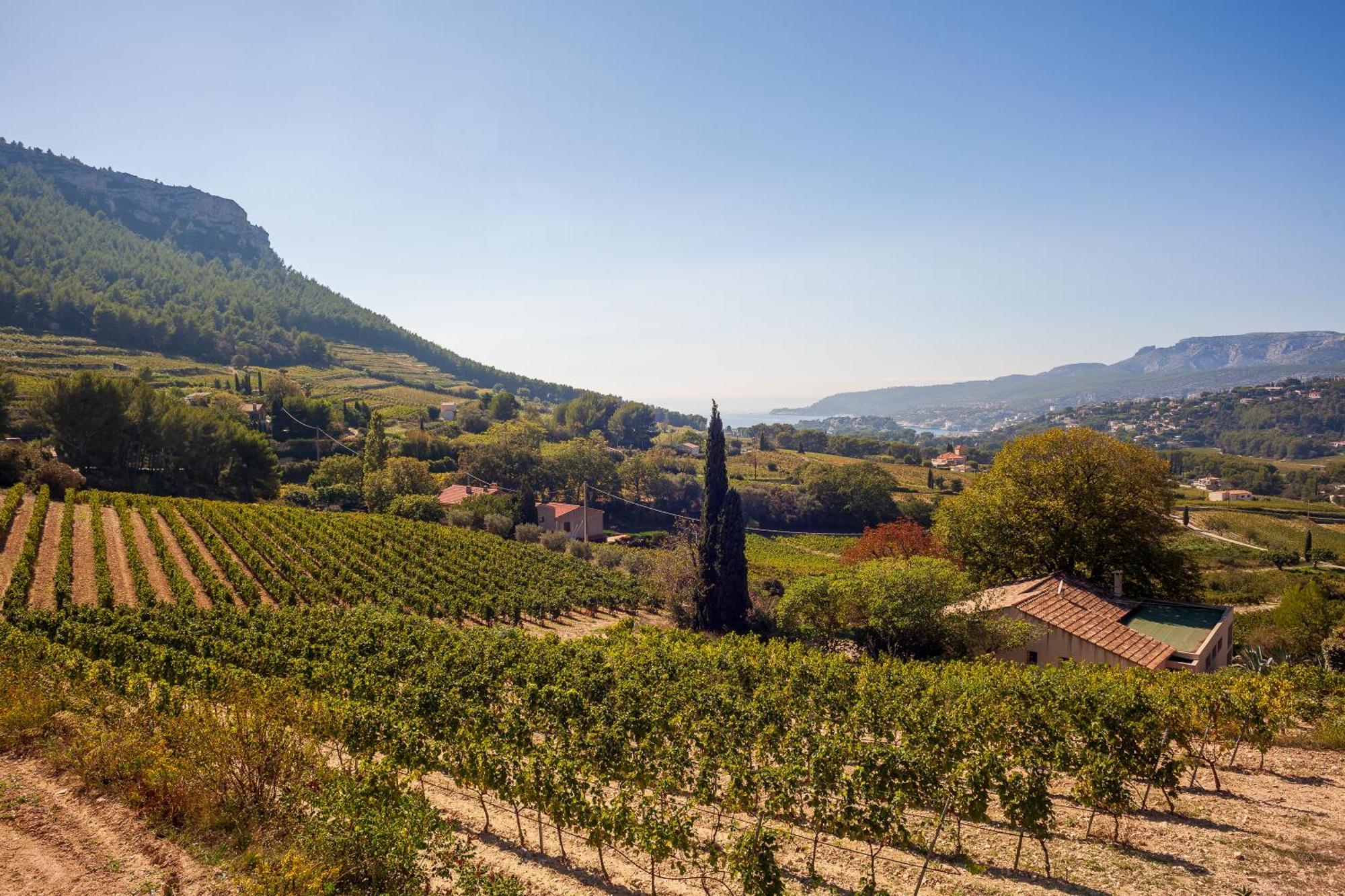Somptueux Appartement Avec Jardin Cassis Bagian luar foto